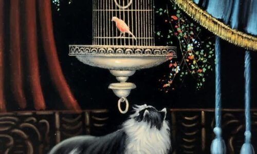 گربه و قفس قناری